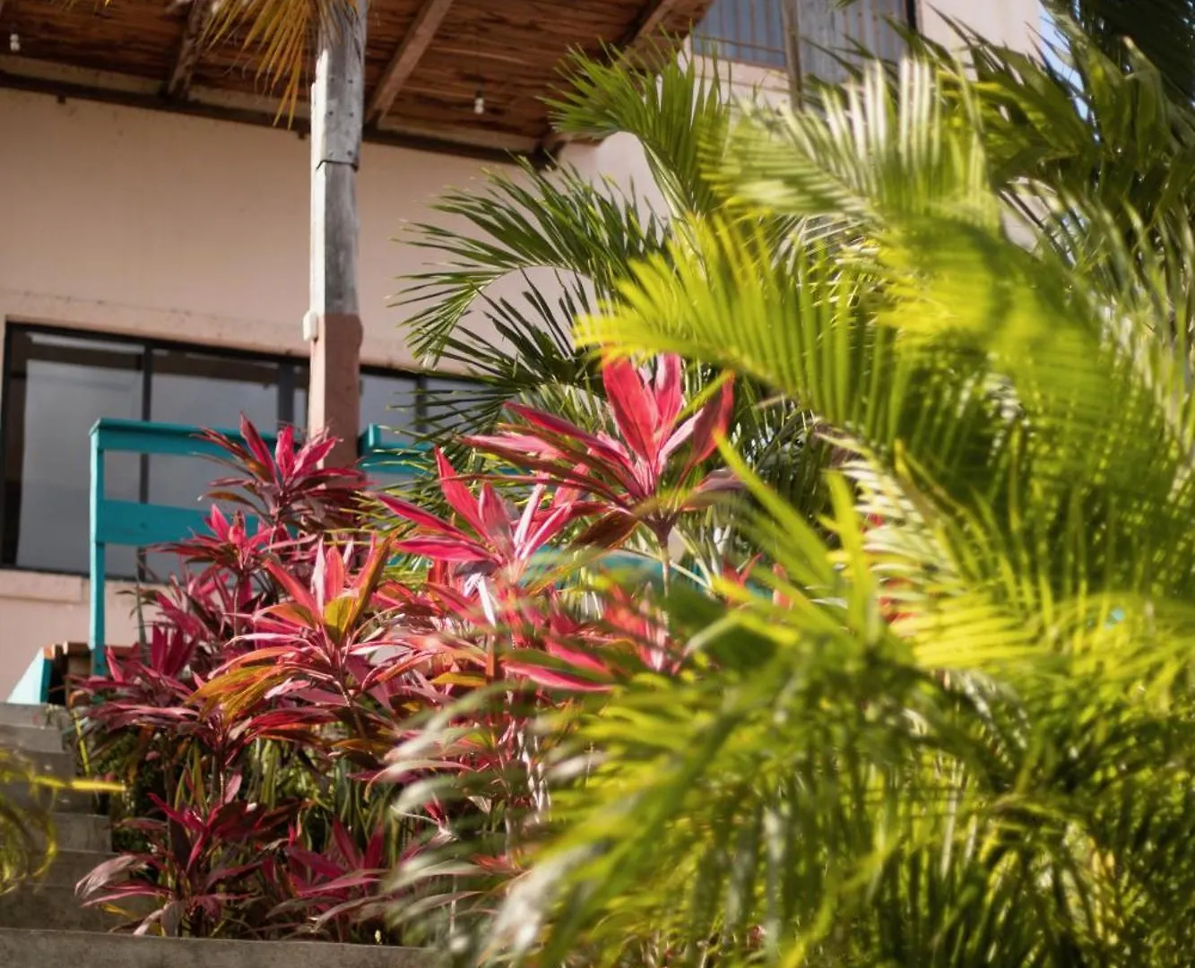 B 7 Blue Bacalar Apartment